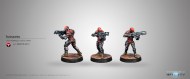 Intruder Corregidor Assault Commando (HMG)